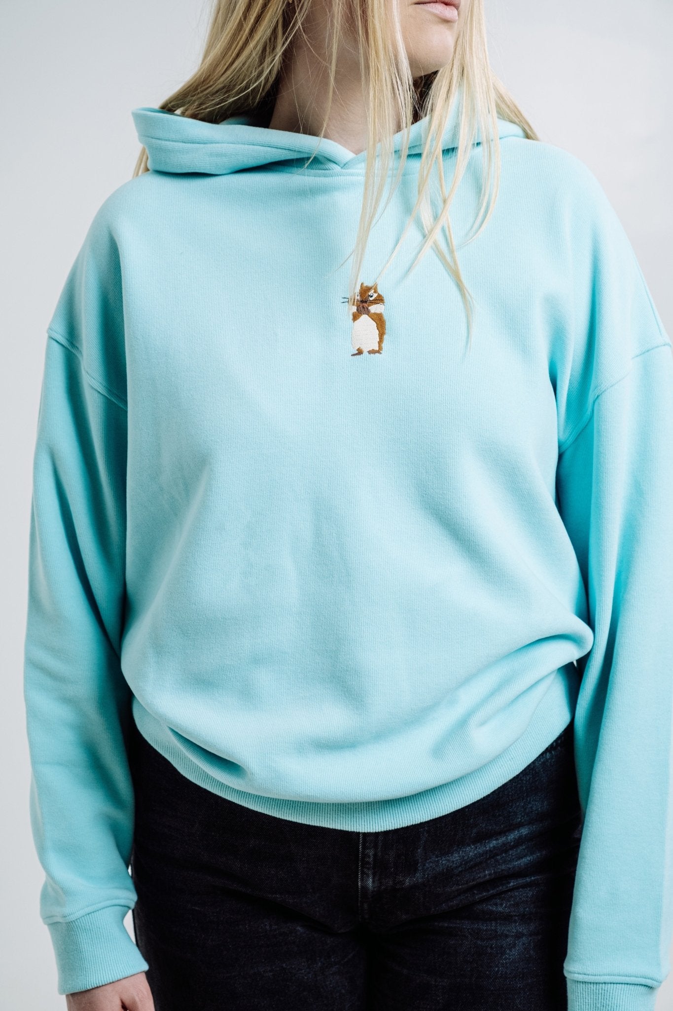 Squirrel Hoodie - Mint